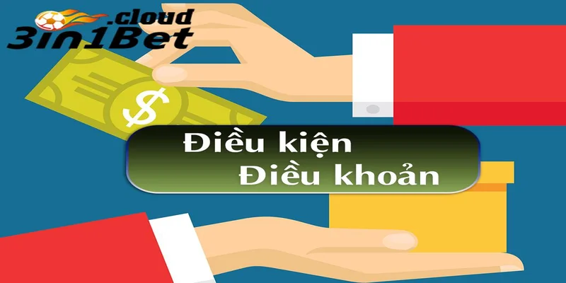 Mục đích và ý nghĩa của điều khoản điều kiện 3IN1BET